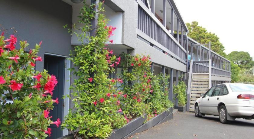 80 Motel Auckland